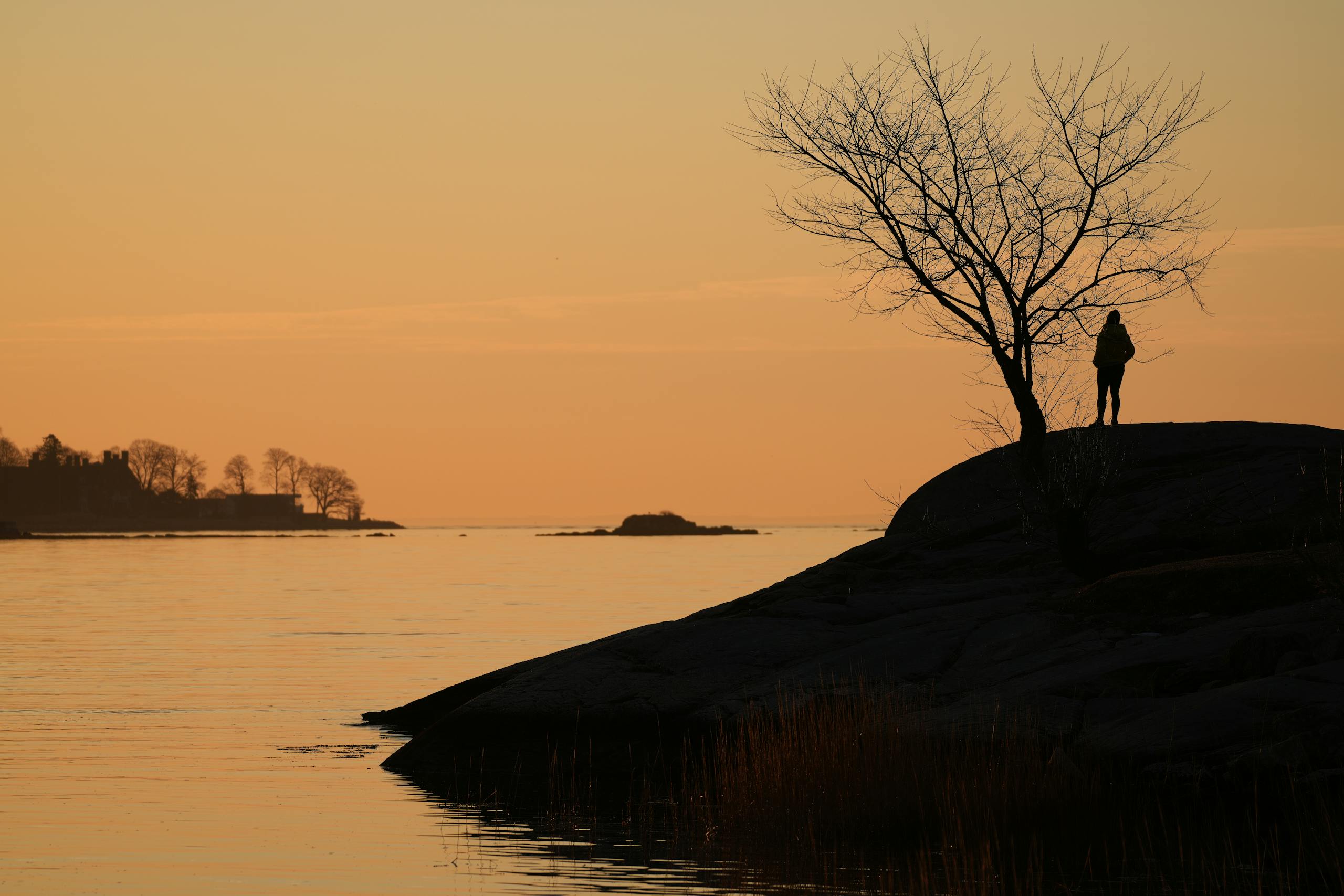 A tranquil morning scene with a silhouette by the water at Cove Island Park, Stamford.