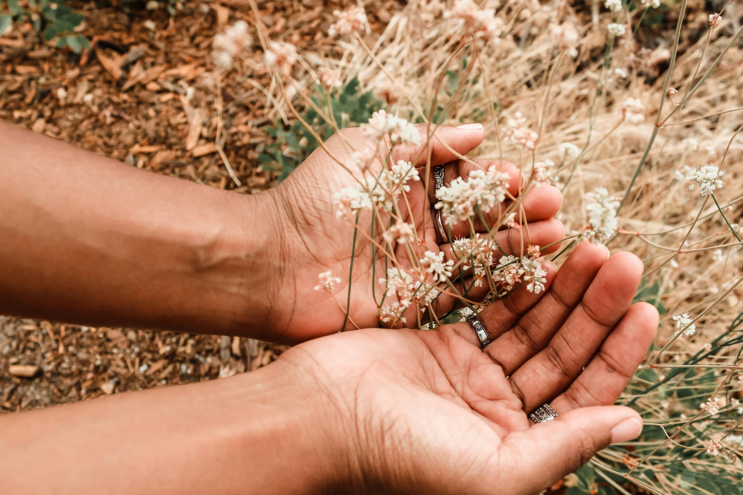 Close-up of a person holding delicate wildflowers, showcasing nature's gentle beauty.